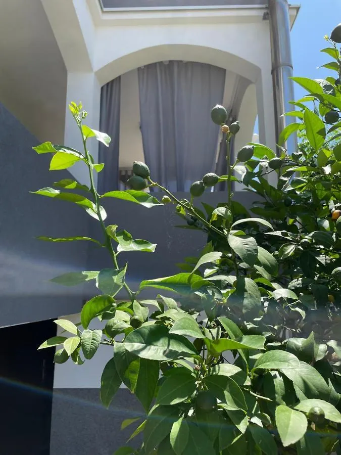 Mare Apartment Zadar